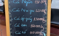 Cá tươi quận 1 – Nguồn hải sản tươi sống chất lượng giữa lòng TP.HCM