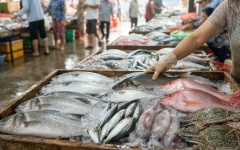 Cá Tươi Ghe Về có những loại cá biển nào cho bữa cơm gia đình?