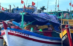 Cá tươi ghe về TP.HCM – Nguồn hải sản tươi sống chất lượng mỗi ngày tại Quận 1