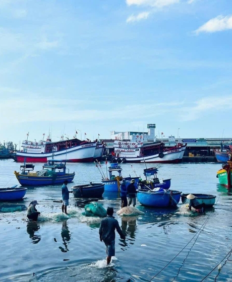 CÁ TƯƠI GHE VỀ