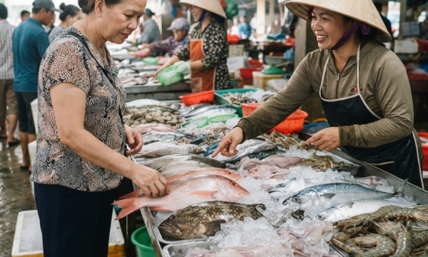 Cá biển tươi nên chọn theo món hay theo mùa trong năm?