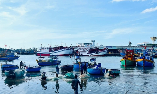 Cửa hàng hải sản quận 1 – Lựa chọn nguồn cá tươi chất lượng tại TP.HCM