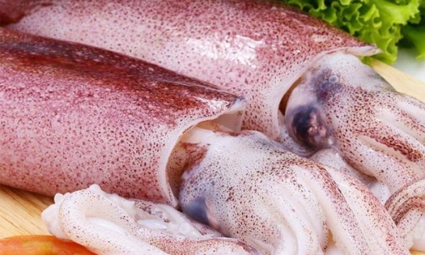 Mực ống tươi cung cấp cho nhà hàng TPHCM: Nguồn sỉ uy tín từ Cá Tươi Ghe Về