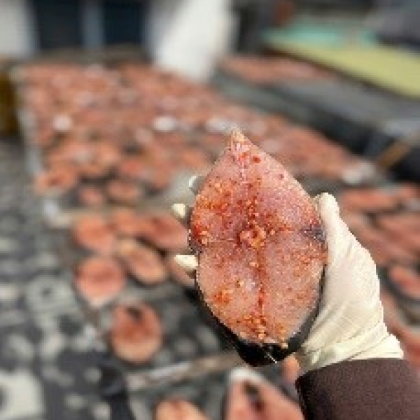 Cá Thu Một Nắng 