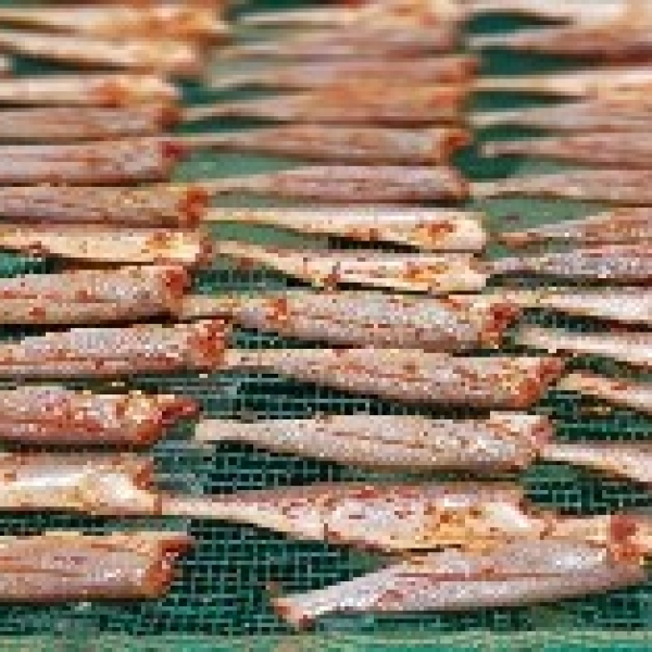 Cá Đù Nguyên Con Một Nắng 