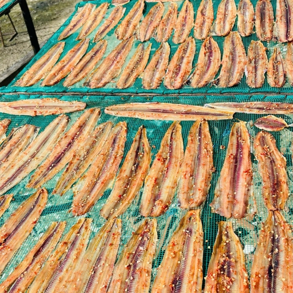 Khô cá hố