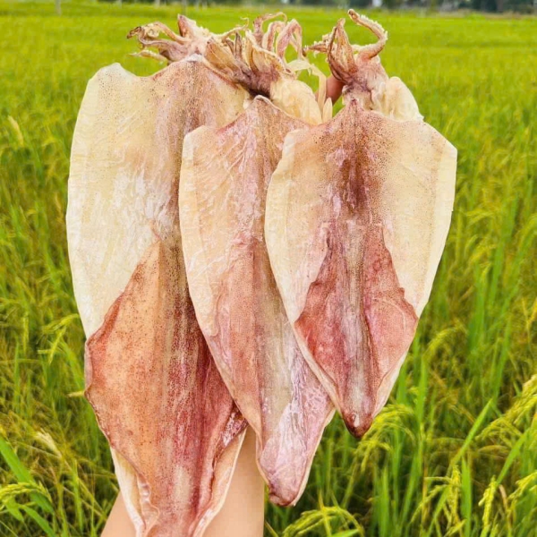 Khô mực