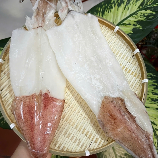 Mực 1 nắng