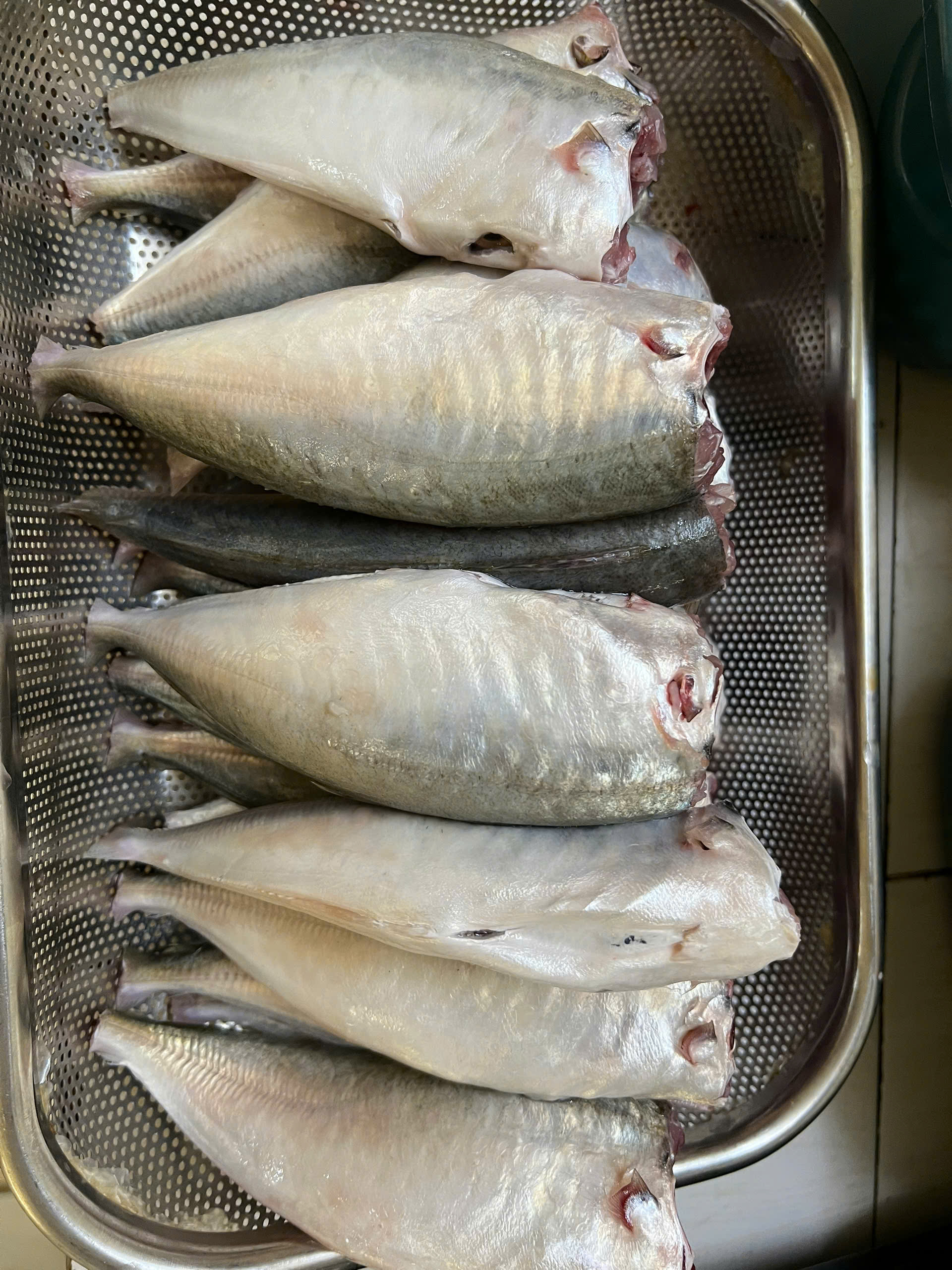 Cá bạc má tươi sạch